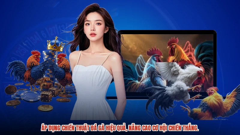 Áp dụng chiến thuật đá gà hiệu quả, nâng cao cơ hội chiến thắng.