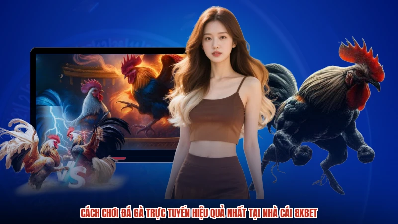 Cách Chơi Đá Gà Trực Tuyến Hiệu Quả Nhất Tại Nhà Cái 8XBET