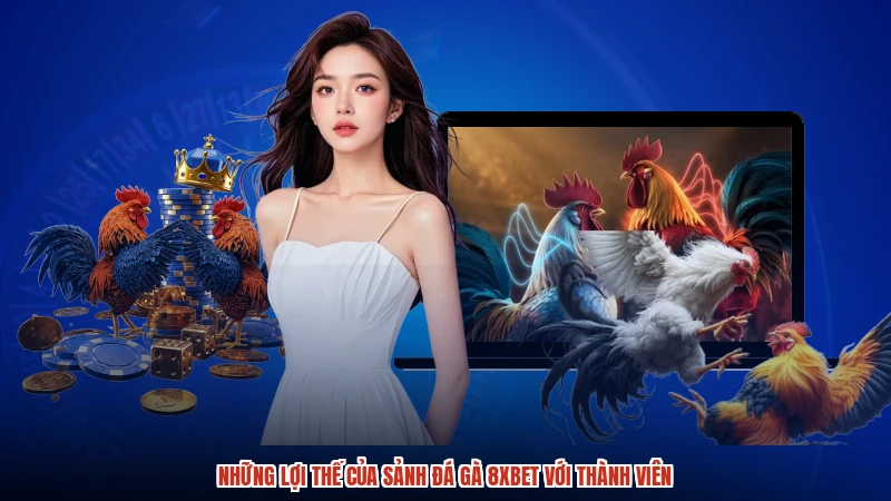 Những lợi thế của sảnh đá gà 8XBET với thành viên