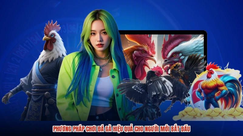 Phương Pháp Chơi Đá Gà Hiệu Quả Cho Người Mới Bắt Đầu