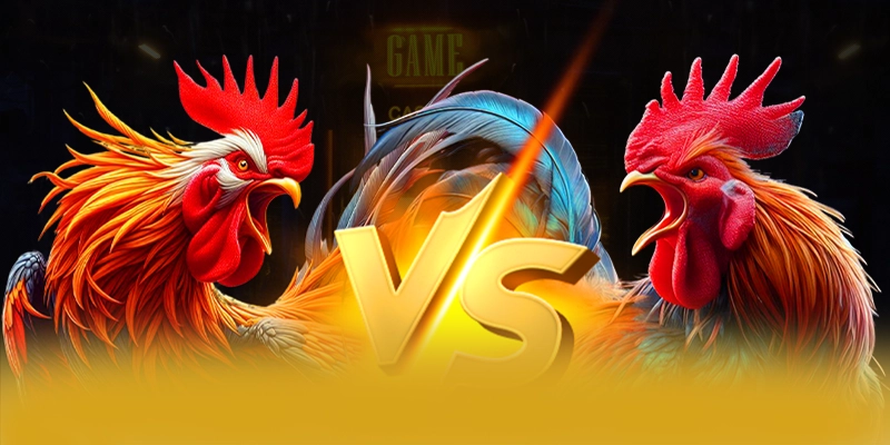 FB88 - Cổng game hiện đại 2026