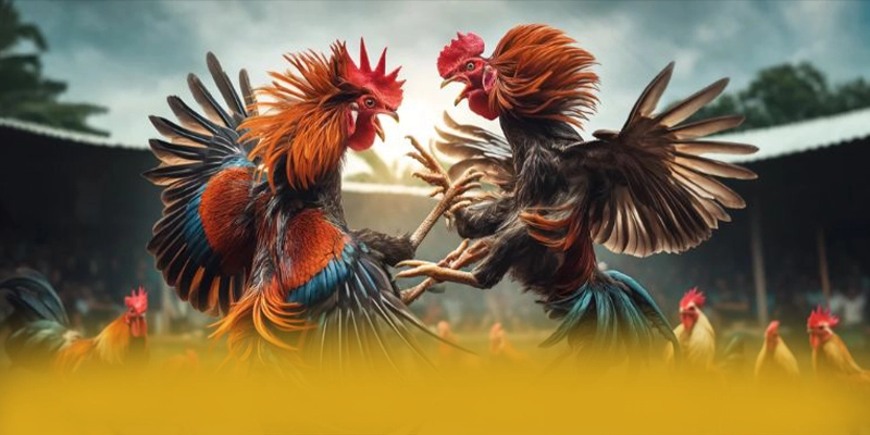 Hệ thống tư vấn viên tại 8xbet