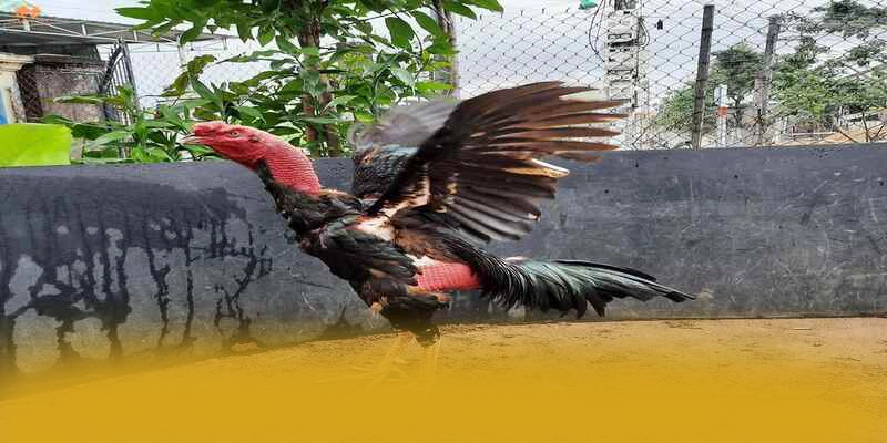 8XBET - Sảnh game cung cấp hàng trăm tựa game đẳng cấp hiện nay